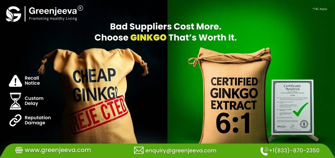 The Hidden Cost of Choosing the Wrong Supplier for Bulk Ginkgo Leaf Extract Powder 6:1